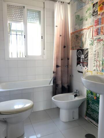 Apartment Penthouse In Alameda Center Seville
